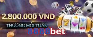 8888bet